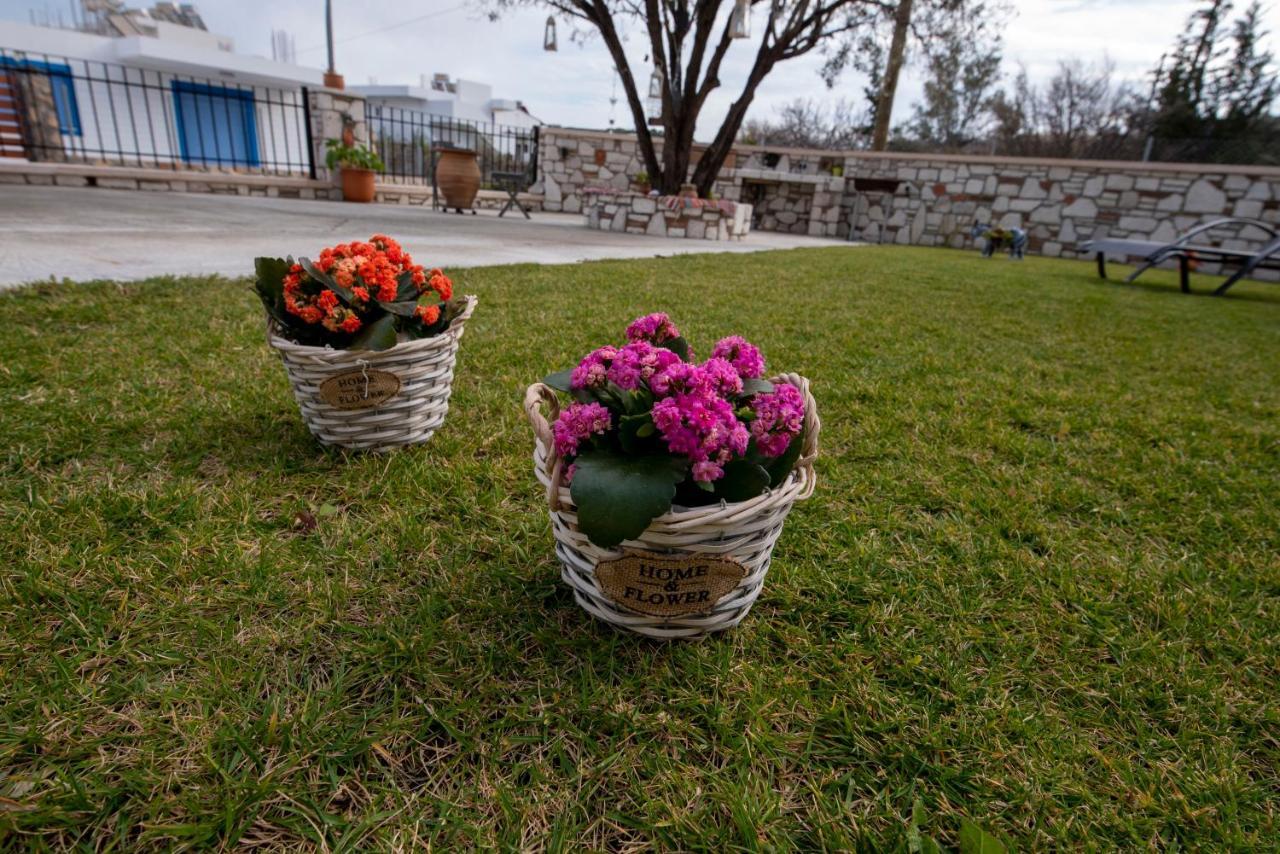 Villa Searock Stegna *